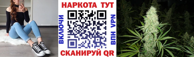 Купить наркотики сайты Завитинск Псилоцибиновые грибы APVP OMG зеркало Конопля ГАШ