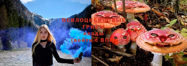 прущие крисы Лихославль