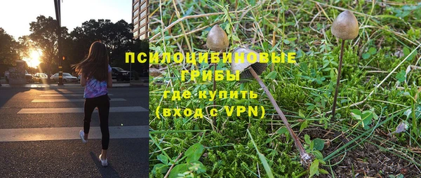 PSILOCYBIN Лагань