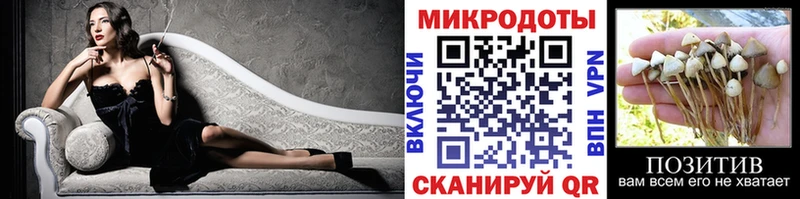 Псилоцибиновые грибы GOLDEN TEACHER  как найти   Завитинск 